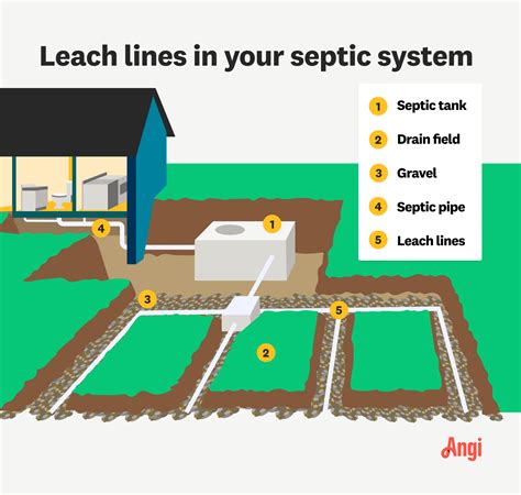 septic tank leach field size